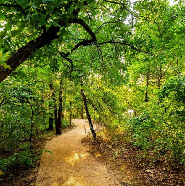 Walking trail rendering